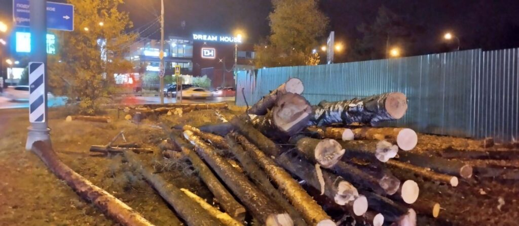 В Барвихе срубают деревья